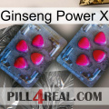 Ginseng Power X 14